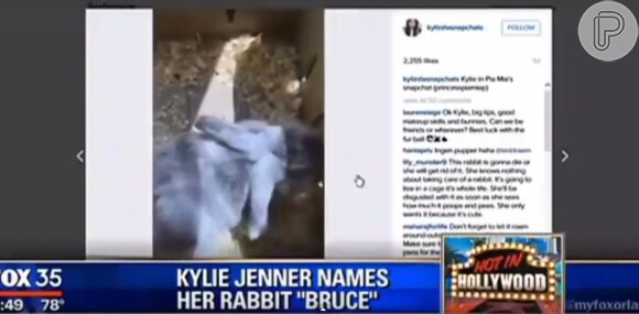 John Brow se irritou com a notícia que Kylie Jenner batizou seu coelho de estimação com o nome do pai, Bruce Jenner
