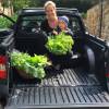 Ana Hickmann colhe verduras da horta de sua casa com o filho, Alexandre Jr.: 'Brincando de fazer feira', escreveu na foto compartilhada em seu Instagram