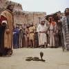 Moisés (Guilherme Winter) transformou um cajado em cobra para provar que é o escolhido de Deus para libertar o povo hebreu, na novela 'Os Dez Mandamentos'
