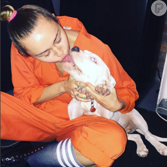 Miley Cyrus postou a foto beijando o cachorro na boca e revoltou alguns seguidores, neste domingo, 29 de novembro de 2015