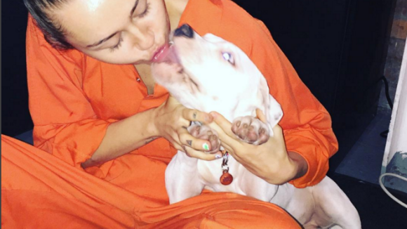 Miley Cyrus posta foto beijando cachorro e divide opiniões na web: 'Nojo!'