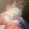 Miley Cyrus e seu cachorro. Os dois têm várias fotos no perfil da cantora, no Instagram