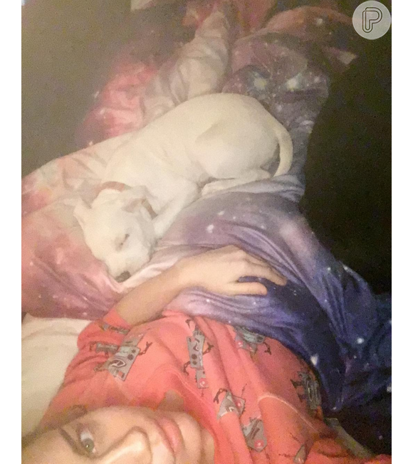 Miley Cyrus e seu cachorro. Os dois têm várias fotos no perfil da cantora, no Instagram