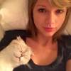 Em outra foto com seu gatinho de estimação, Taylor Swift teve 2,2 milhões de curtidas: 'Eu acordei assim... Com um gato em mim', escreveu a cantora na legenda