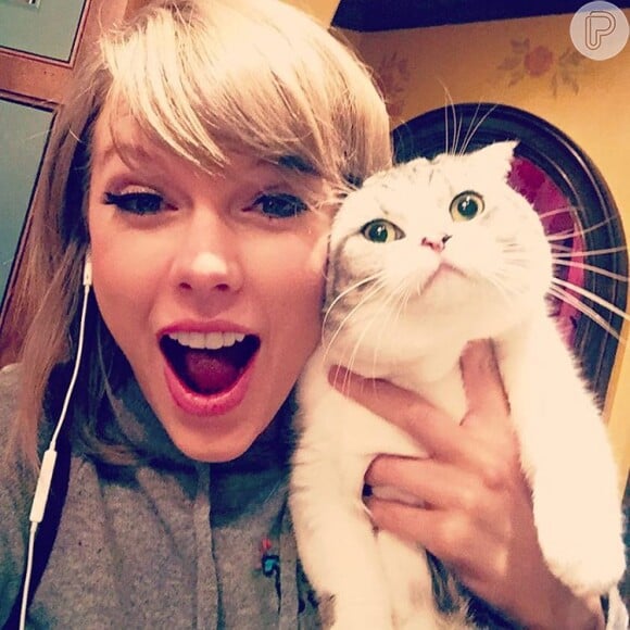 Taylor Swift conquistou 2,4 milhões de curtidas no Instagram com mais uma foto fofa com seu gato