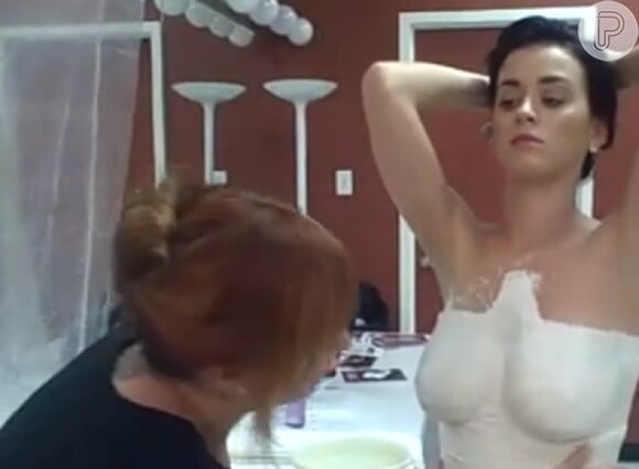 Katy Perry vendeu o molde de gesso de de seus seios, feito em 2008, por mais de R$ 8 mil. O dinheiro foi doado para o tratamento de pessoas que sofrem de câncer de mama