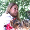 Susana Vieira ganhou a cachorrinha que contracena na novela 'A Regra do Jogo', uma Yorkshire chamada Susi