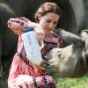 Kate Middleton também deu mamadeira a filhotes de rinoceronte em santuário animal na Índia
