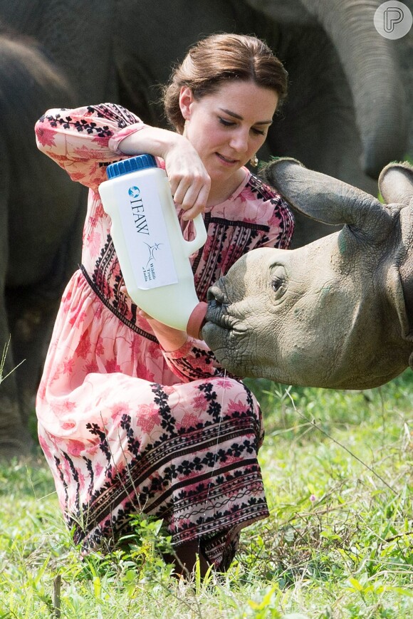 Kate Middleton também deu mamadeira a filhotes de rinoceronte em santuário animal na Índia