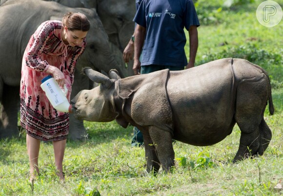 Kate Middleton dá mamadeira a filhote de rinoceronte na Índia, nesta quarta-feira, 13 de abril de 2016