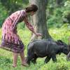 Kate Middleton brinca com filhotes de rinoceronte em santuário animal na Índia, nesta quarta-feira, 13 de abril de 2016