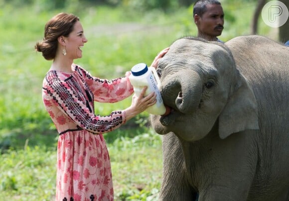 Kate Middleton dá mamadeira a filhote de elefante na Índia, nesta quarta-feira, 13 de abril de 2016