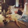 Rumer costuma posar fotos com seus três cachorros no Instagram. Ela os chama de 'meus bebês'