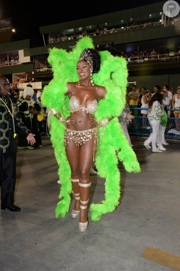 Cris Vianna usou figurino decotado e com muitas plumas no Carnaval de 2014