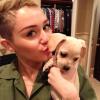 Miley Cyrus dá beijinho no cachorrinho Bean