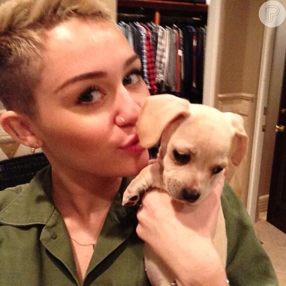 Miley Cyrus dá beijinho no cachorrinho Bean