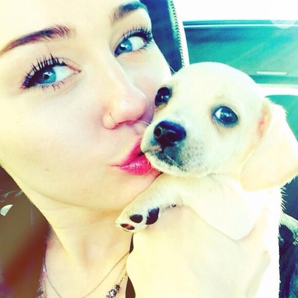 Miley Cyrus adorou Bean depois de perder sua cadelinha yorkshire, Lila