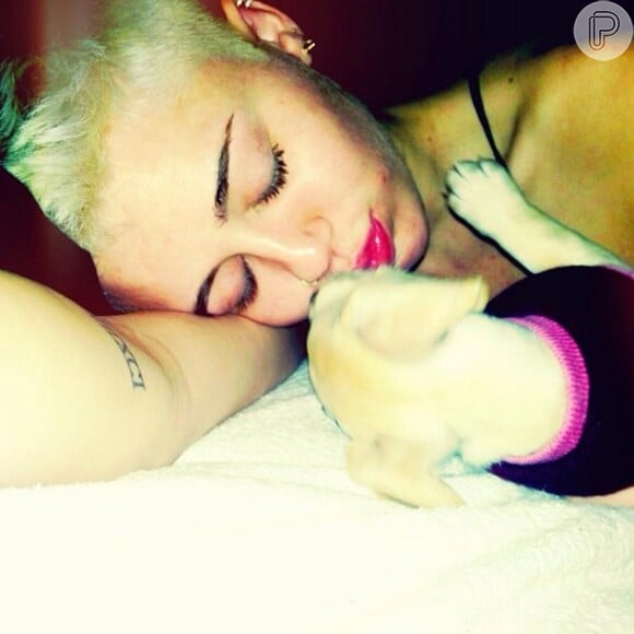 Miley Cyrus é muito carinhosa com seus cachorrinhos