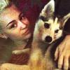 Miley Cyrus posa ao lado de Floyd, um cão da raça alaskan klee kai