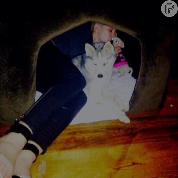 Miley Cyrus dorme junto com os cães Bean e Floyd na casinha de cachorro, como mostra a imagem postada nesta quarta-feira, 16 de janeiro de 2013
