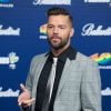 Ricky Martin está curtindo a vida de papai; Em entrevista à revista americana 'People', o cantor revela seus planos de aumentar a família em breve