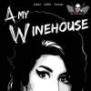 A vida de Amy Winehouse será retratada na primeira edição dos quadrinhos 'Clube dos 27', que conta a história de vida de astros da música que morreram aos 27 anos, como divulgado nesta quarta-feira, 6 de fevereiro de 2013