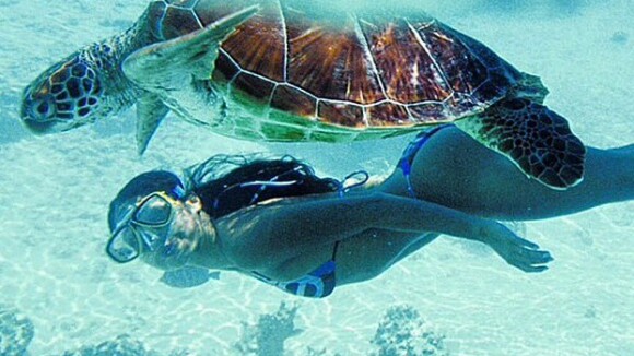 Isis Valverde nada em mar cristalino com tartaruga marinha e exibe boa forma