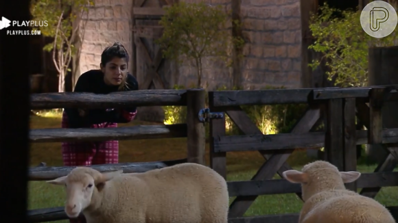 Em 'A Fazenda 11', Hariany conversa com ovelhas após insônia na madrugada: 'Eu não sei mais o que eu faço. Eu tô carente. E agora? Não dá mais não'