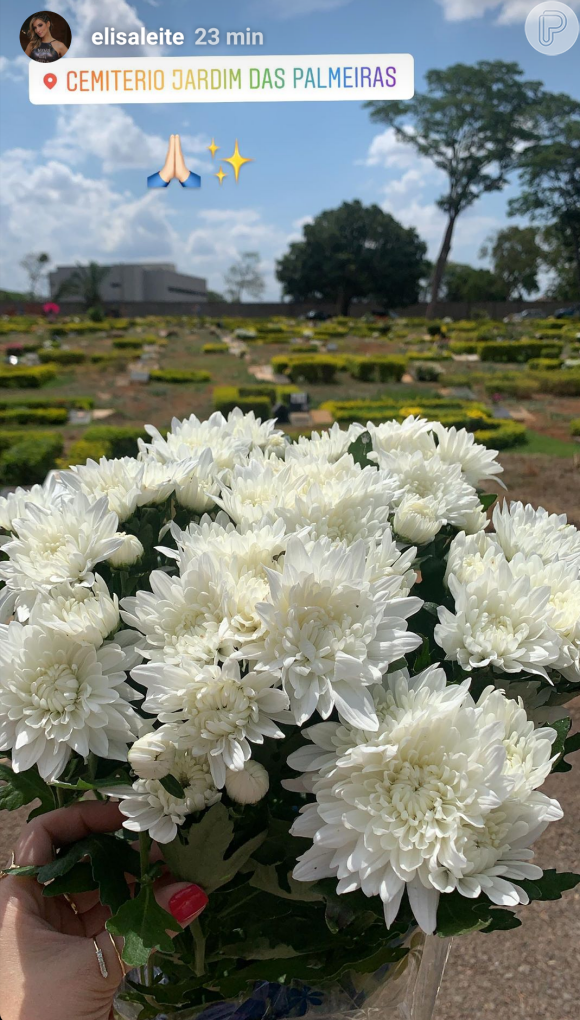 Mãe do filho caçula de Cristiano Araújo esteve no cemitério onde o cantor foi enterrado