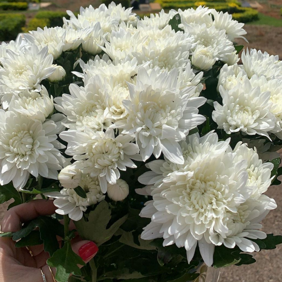 Mãe do filho caçula de Cristiano Araújo esteve no cemitério onde o cantor foi enterrado