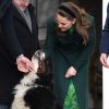 Kate Middleton brinca com pet do presidente da Irlanda