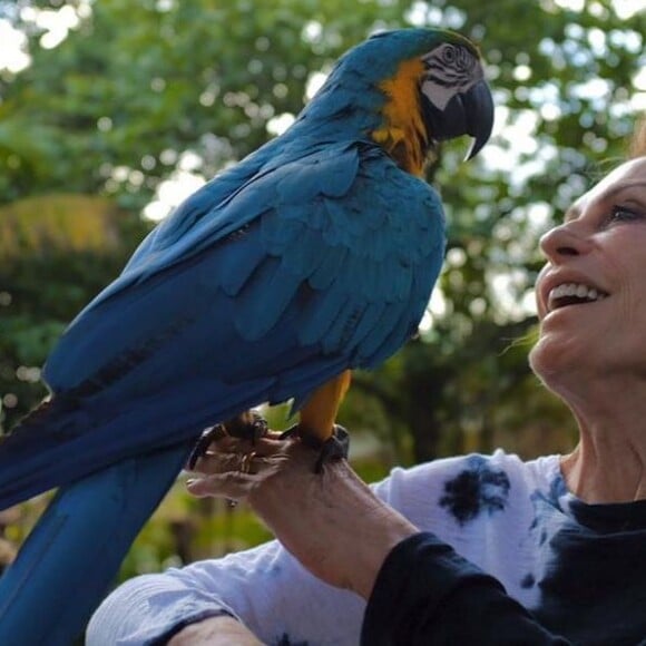 Avó coruja, Ana Maria Braga se derreteu ao falar do neto Bento