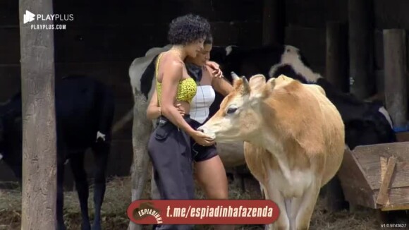 Aline Mineiro compara a vaca de chifres ao namorado, Leo Lins