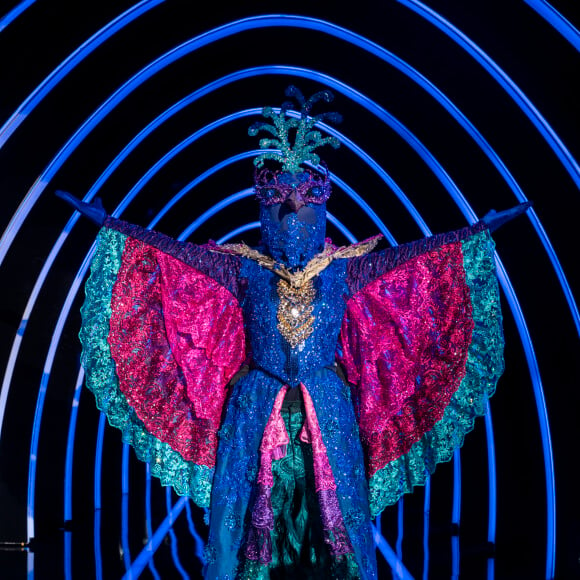 'The Masked Singer Brasil': saiba quem é o Pavão!