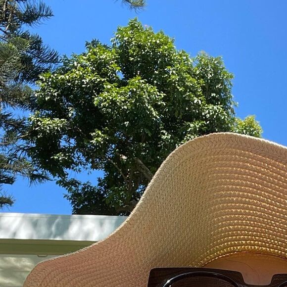 Fátima Bernardes justifica mudança para o 'The Voice Brasil': 'Sempre quis concluir minha transição do jornalismo para o entretenimento. A oportunidade apareceu'