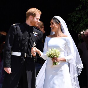 Alerta de perigo é acionado após leão circular perto da casa de Meghan Markle e do príncipe Harry
