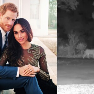 Meghan Markle e o príncipe Harry, de 37 anos, foram alertados para trancarem a mansão onde vivem que está avaliada em cerca de US$ 14,6 milhões (R$ 74,3 milhões)