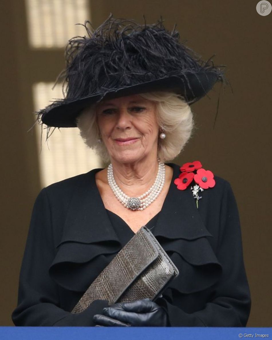 Camilla Parker Bowles está envolvida na luta contra as violências de gênero