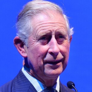 Rei Charles III tira dias de folga após trabalho intenso em 11 dias