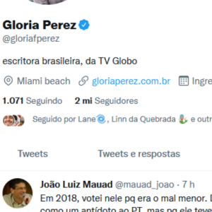 Gloria Perez curtiu, no Twitter, uma publicação que justifica o voto em Jair Bolsonaro nestas eleições