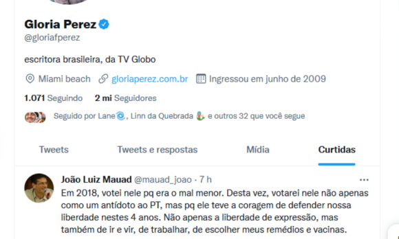 Gloria Perez curtiu, no Twitter, uma publicação que justifica o voto em Jair Bolsonaro nestas eleições