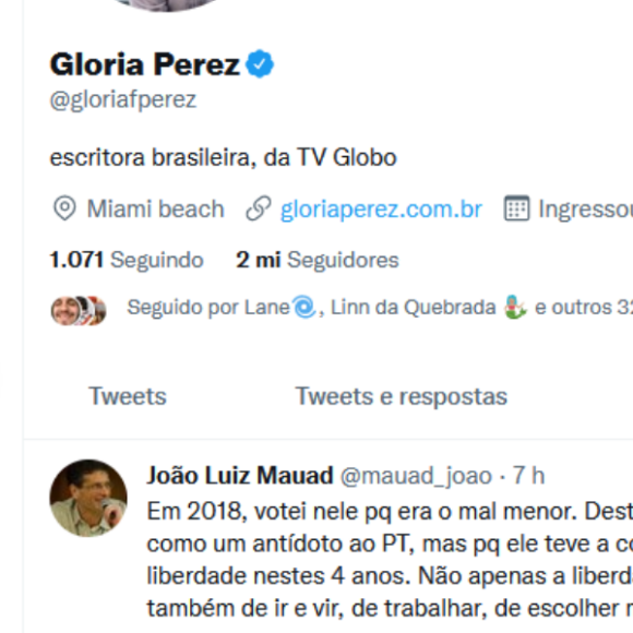 Gloria Perez curtiu, no Twitter, uma publicação que justifica o voto em Jair Bolsonaro nestas eleições