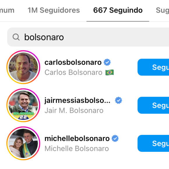 Gloria Perez já seguia diversos membros da família Bolsonaro no Instagram