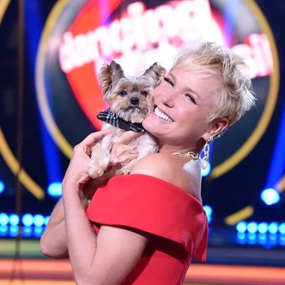 Xuxa e Luciano são pais de Sasha Meneghel, única filha da apresentadora.