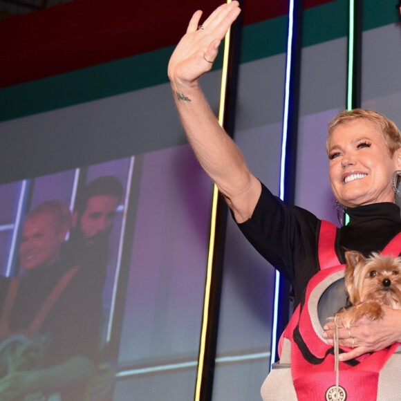 Xuxa ainda confidencializa que eles tiveram relação sem camisinha apenas uma vez.