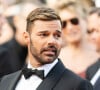 Há alguns meses, Ricky Martin foi denunciado por assédio.