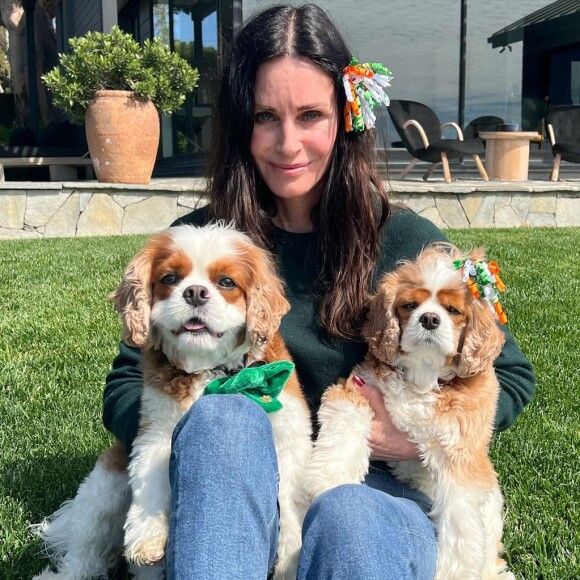 Courteney Cox sobre livro de Príncipe Harry: 'Eu quero ler, porque ouvi dizer que é realmente divertido'