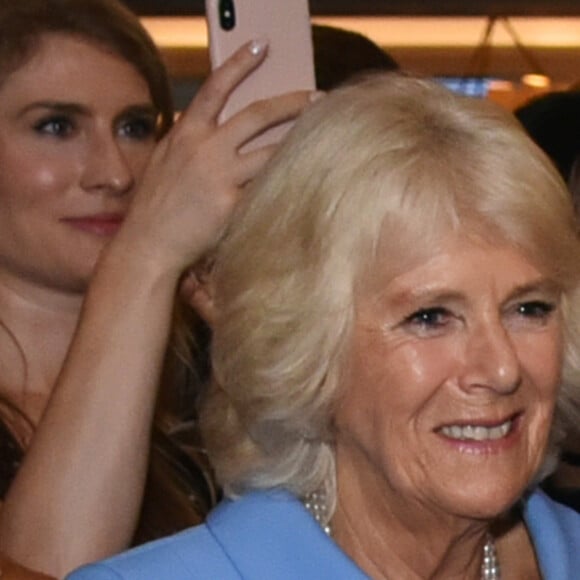 Camilla foi acusada de ser a verdadeira responsável por vazar as informações pessoais dos membros da monarquia para os tabloides