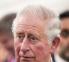 Rei Charles III tem feito uma série de mudanças drásticas na equipe que acompanha a Família Real