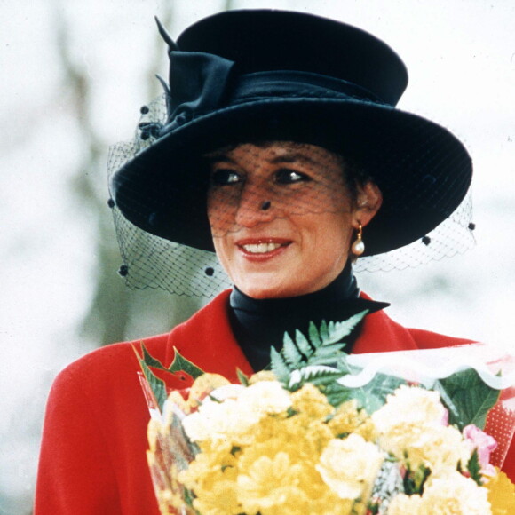 Segundo livro, princesa Diana deu um tapa em Harry após episódio de racismo